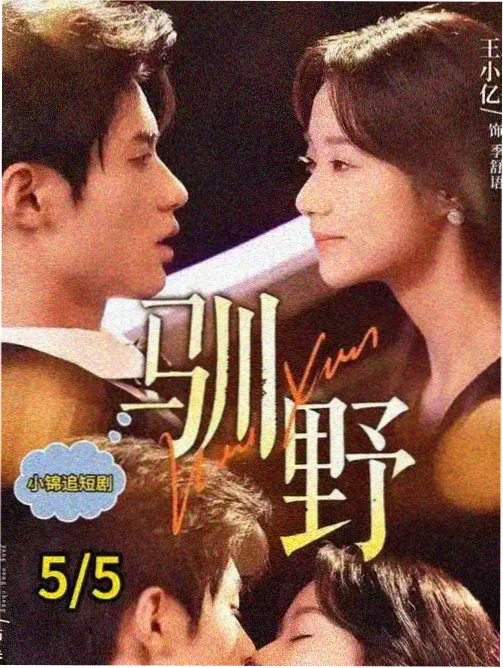 日韩理论片《旧宅来客》在线观看